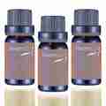 Steamspa Essence of Peppermint Aromatherapy Oil Extract Value Pack G-OILPEP3